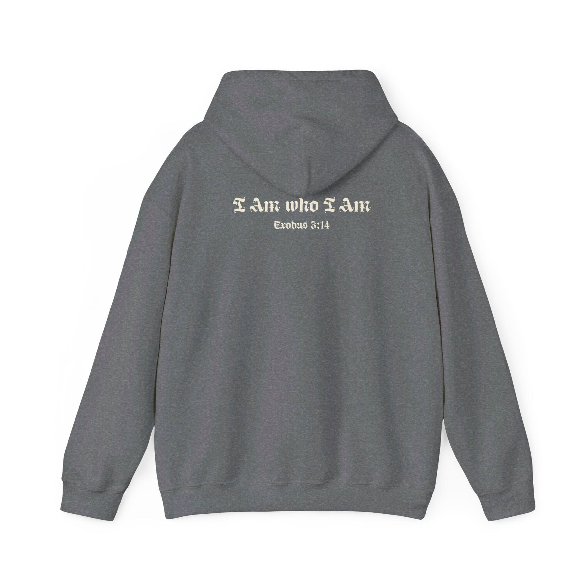 I Am who I Am Exodus 3:14 Hoodie - Renewed Life Apparel