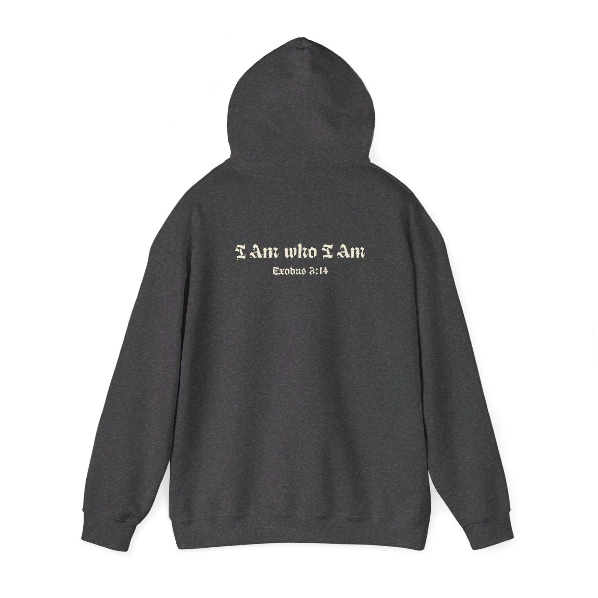 I Am who I Am Exodus 3:14 Hoodie - Renewed Life Apparel