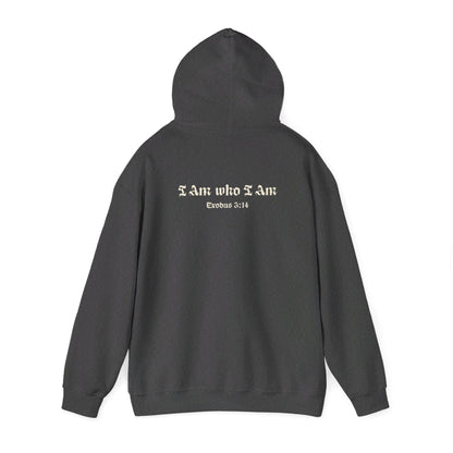 I Am who I Am Exodus 3:14 Hoodie - Renewed Life Apparel